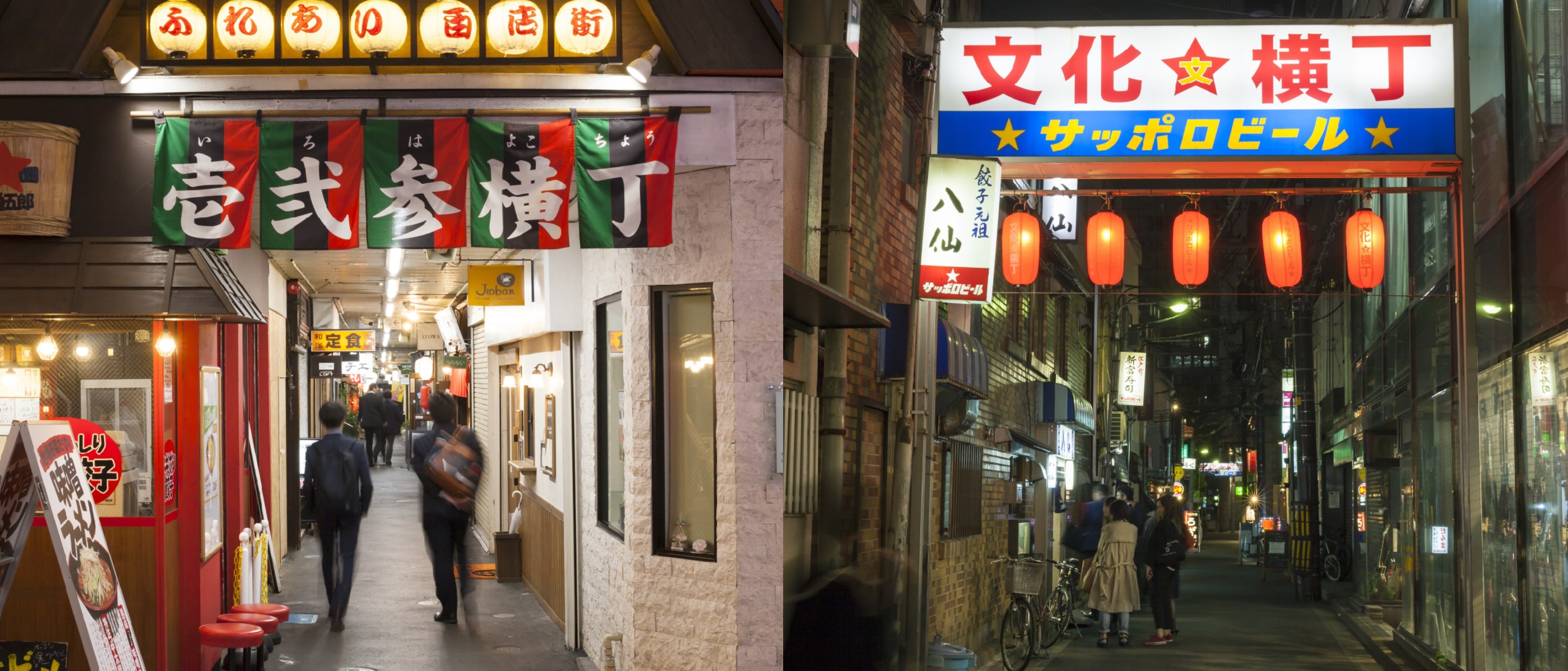 Iroha-Yokocho & Bunka-Yokocho.jpg (754 KB)