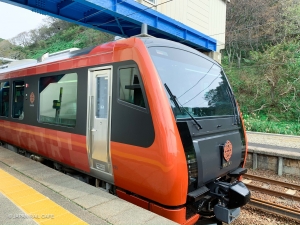 COVID-19: Suspension of all Joyful Train services