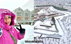 Winter blessings across the Tsugaru Strait: Hirosaki, Aomori and Hakodate