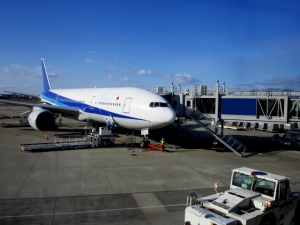COVID-19: JNTO issues travel advisory, foreign visitors denied entry to Japan 
