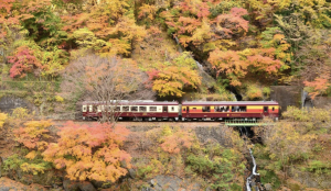 ​Take a local train trip on Watarase Keikoku Railway!