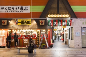 Travel back in time: Alleys of Tohoku