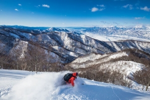 JR EAST PASS (Nagano, Niigata area) ski trip ideas