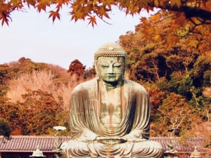 6 cafes to relax at during your Kamakura adventure