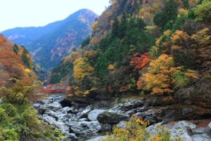 Hiking under the fall leaves of Nara's Mitarai Valley