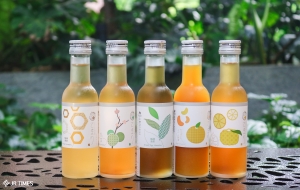 Plum-of-a-Kind: What flavour of Temari Umeshu are you? (Personality Quiz)