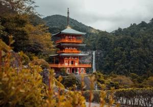 Nachi-Katsuura: A simple guide to Wakayama’s maguro town 