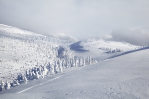 “Winter is coming”: Exploring the snow countries of Japan