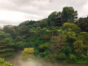 Walk through a “Sea of Clouds” in HOTEL CHINZANSO TOKYO