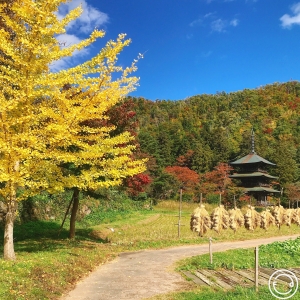 Takahata: The land of wine and all things fine