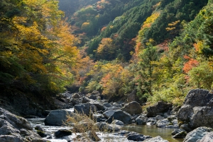 From 0 to 100: A transformative tourism in zero-waste Kamikatsu
