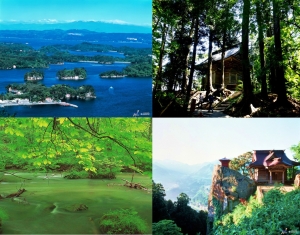 Exploring Tohoku’s natural splendour with JR EAST PASS (Tohoku area)!
