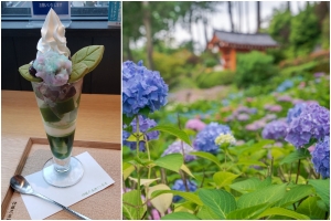 Hydrangea parfaits: Kyoto's prettiest dessert is back in this rainy season