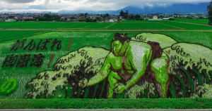 Nagano sprouts with rice paddy art at Azumino Swiss Village