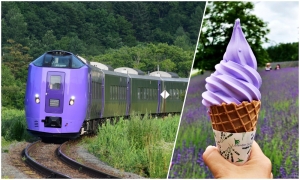 JR News: Renewal of Furano Lavender Express & enjoying Hokkaido’s lavender