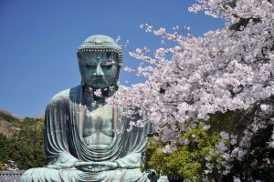 Kanagawa: Around the prefecture in 8 days