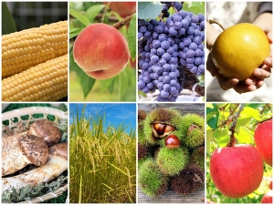 Scrumptious September: Gifts of the harvest season
