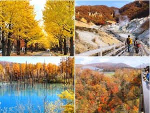 Splendourous awe-tumn colours of Hokkaido!