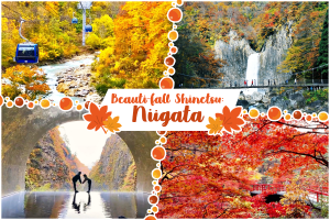 Beauti-fall Shinetsu Part 2: Niigata’s unbe-leaf-ably lovely fall foliage