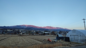 Winter highlights from TokudAw Inc.’s rice planting charity tour at Tomi City