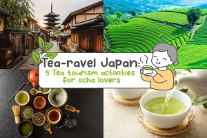 Tea-ravel Japan: 5 Tea tourism activities for ocha lovers