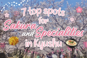 7 top spots for sakura and specialities in Kyushu
