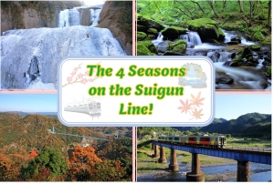 Experiencing the 4 seasons on the Suigun Line!