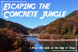 Escaping the concrete jungle: 3 must-visit spots at the edge of Tokyo