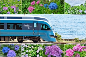 Rail Report: A day trip on the luxurious SAPHIR ODORIKO to Shimoda City