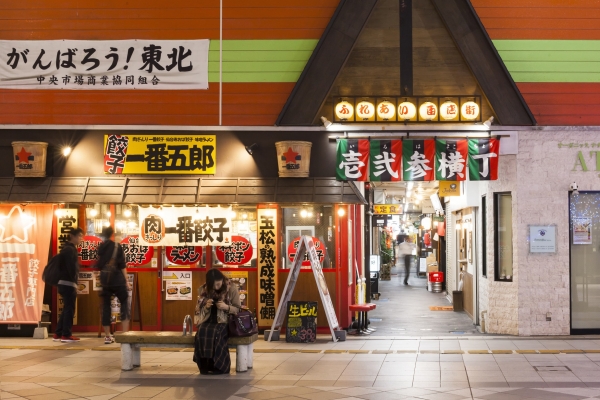 Travel back in time: Alleys of Tohoku