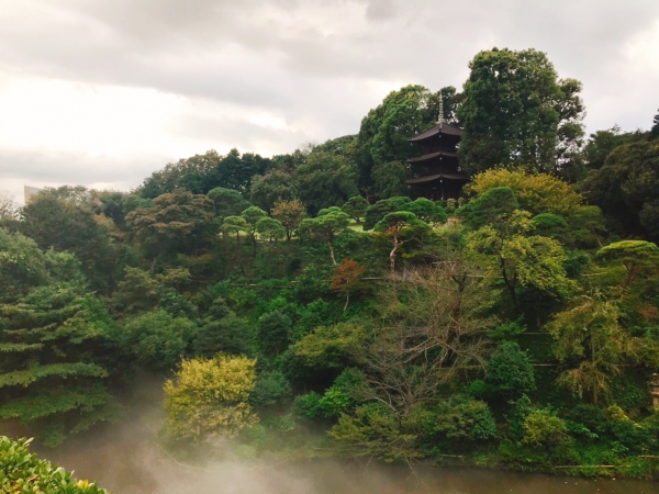 Walk through a “Sea of Clouds” in HOTEL CHINZANSO TOKYO