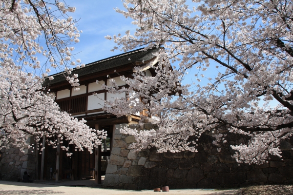 Nagano City’s hidden gem: Matsushiro, a town of samurai and history