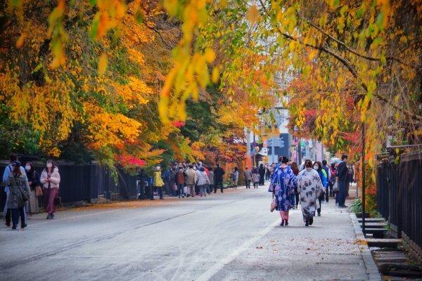 Be charmed by Akita, where beautiful nature meets exquisite culture