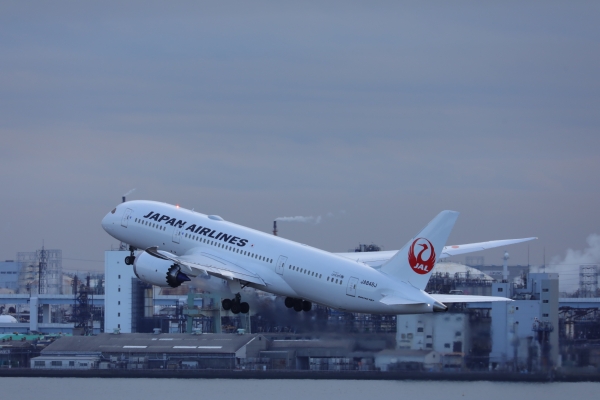 #MyJALtrip: Tales from 30,000ft