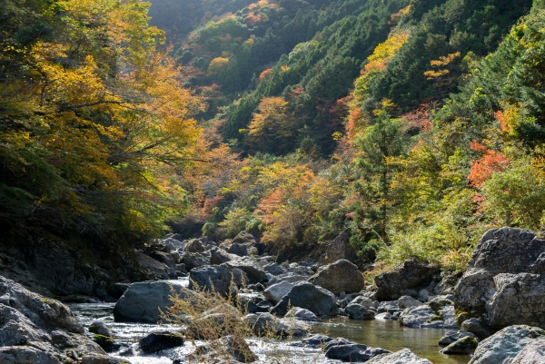 From 0 to 100: A transformative tourism in zero-waste Kamikatsu