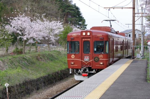 Beyond the brochure: A trip for every season with the JR TOKYO Wide Pass