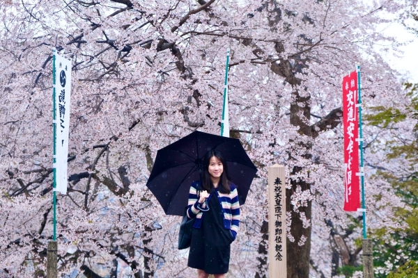 Yamagata, thiên đường hoa anh đào chưa được khám phá