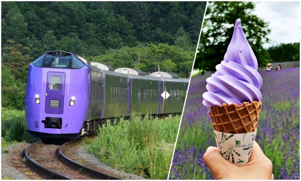 JR News: Renewal of Furano Lavender Express & enjoying Hokkaido’s lavender