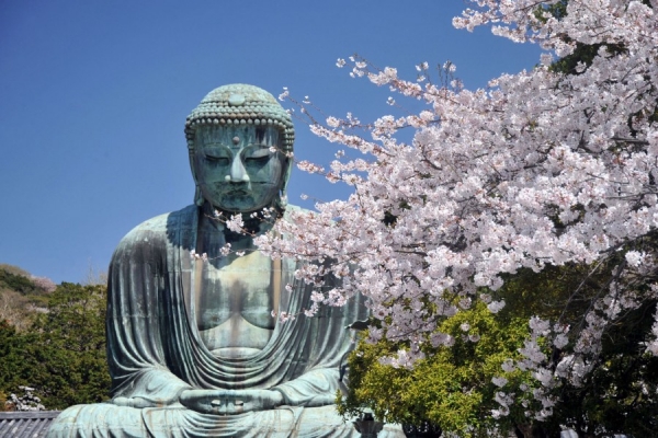 Kanagawa: Around the prefecture in 8 days