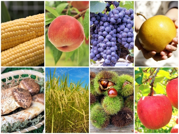 Scrumptious September: Gifts of the harvest season
