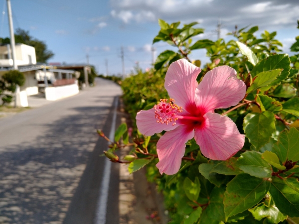 5 Amazing unknown natural wonders of Okinawa, according to a former local