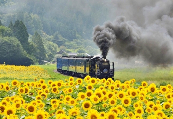 JR News: Iwate’s iconic steam locomotive train “SL Ginga” to retire in spring 2023