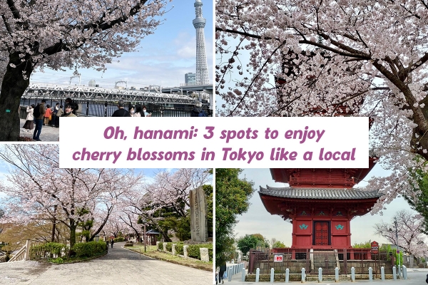 Oh, hanami: 3 spots to enjoy cherry blossoms in Tokyo like a local