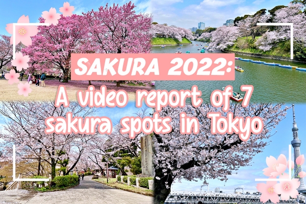 Sakura 2022: A video report of 7 cherry blossom spots in Tokyo