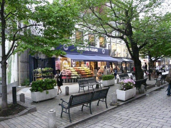 Jiyugaoka and Futako-Tamagawa: A foodie’s guide to Tokyo’s popular suburbs