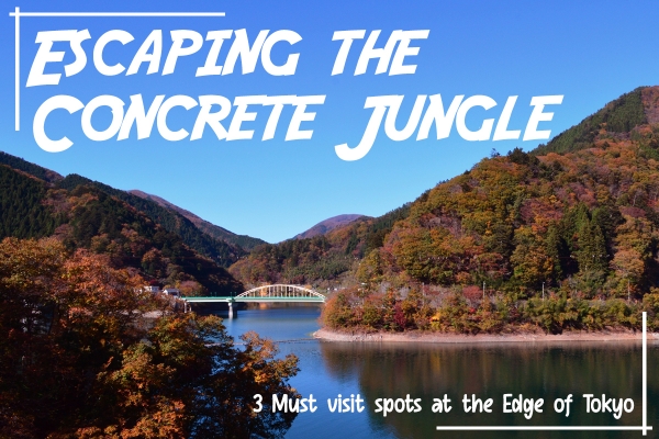Escaping the concrete jungle: 3 must-visit spots at the edge of Tokyo