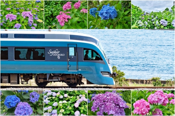 Rail Report: A day trip on the luxurious SAPHIR ODORIKO to Shimoda City