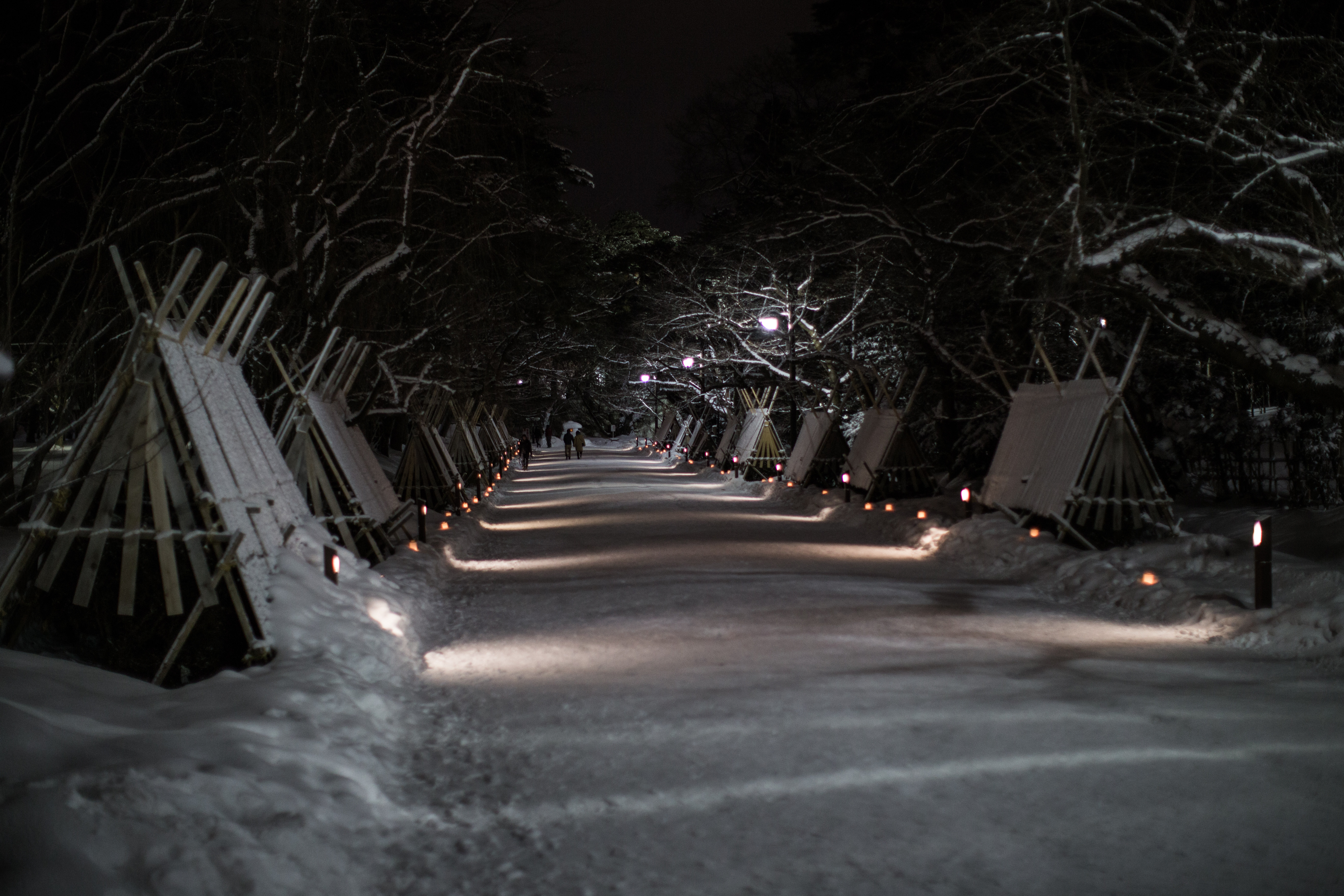 hirosaki-hirosaki-castle-ap5-6.jpg (10.95 MB)