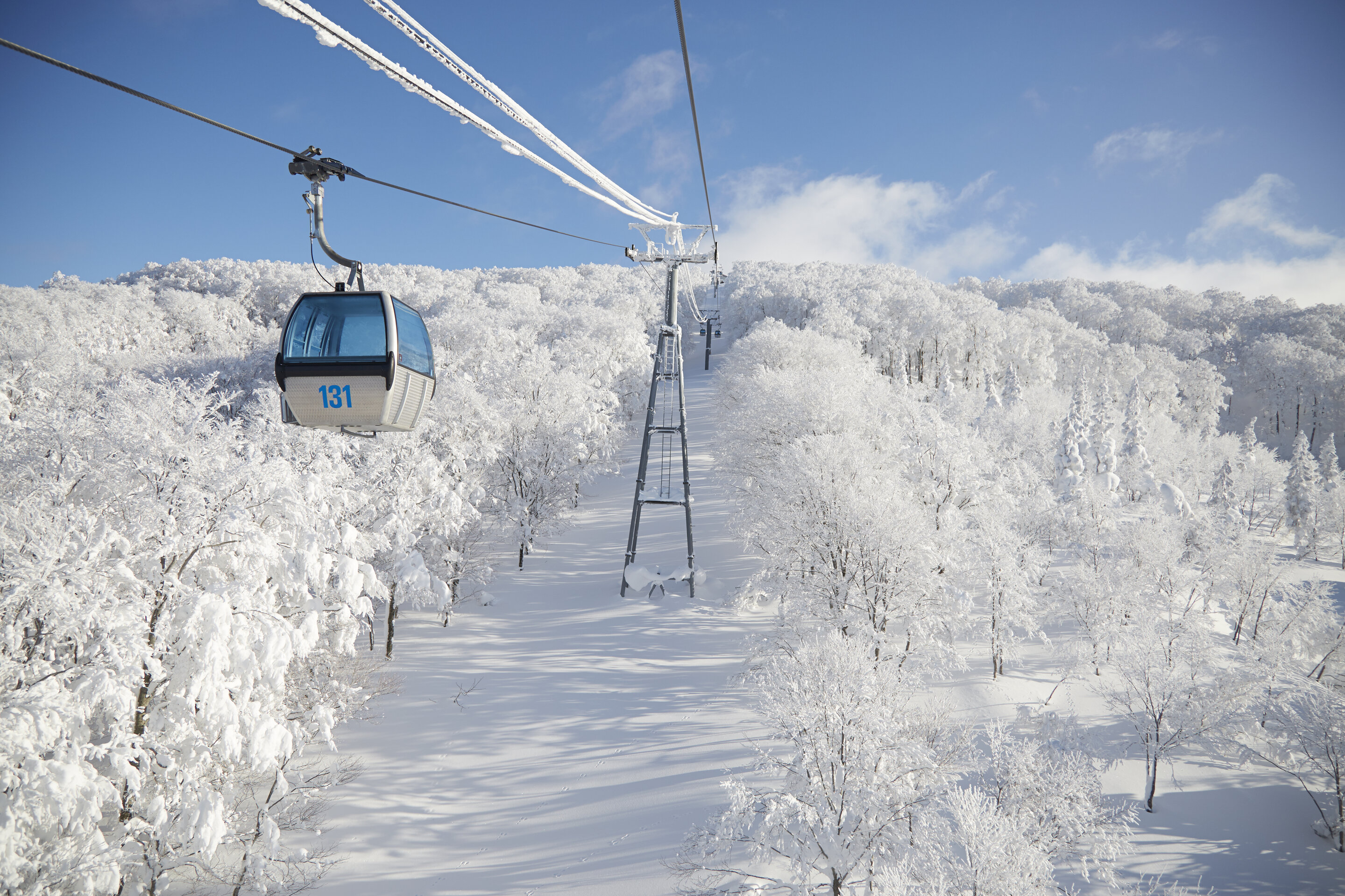 rsz_1snow_monster_4.jpg (1.31 MB)