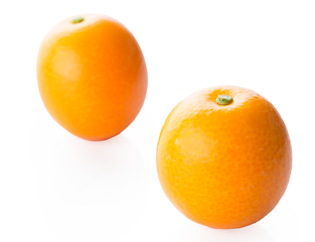 kinkan